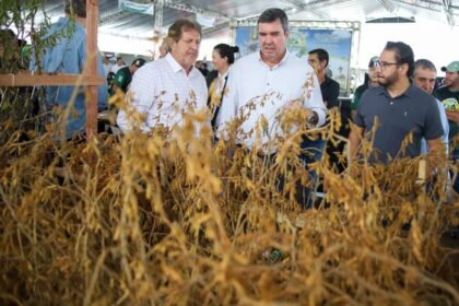 Laguna Carapã realiza o 25º Concurso Pé de Soja e comemora investimentos em infraestrutura