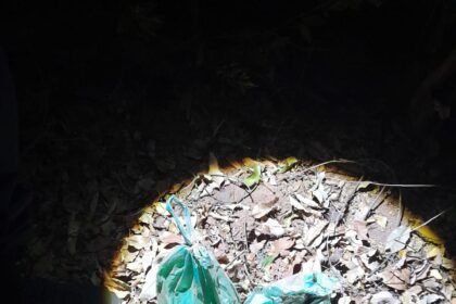 Jovem de 18 anos é detida após aborto provocado em TL; feto teria sido enterrado pelo companheiro