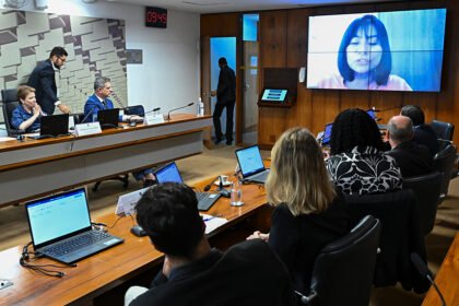 Mineração em terras indígenas: é preciso ampliar debate e conhecimento geológico