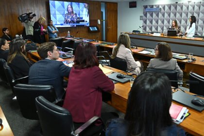 Subcomissão sobre violência doméstica no exterior aprova relatório