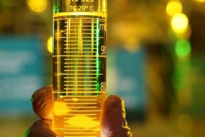 Setor do biodiesel defende biocombustível para Brasil cumprir pacto ‘Belém 4X’