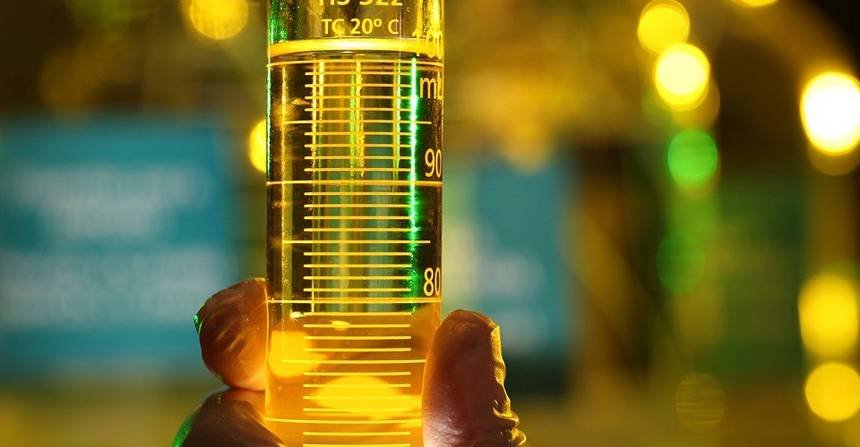 Setor do biodiesel defende biocombustível para Brasil cumprir pacto ‘Belém 4X’