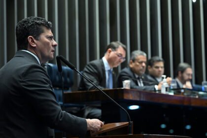 Descriminalização de poda de árvore em caso de risco de acidente vai a sanção