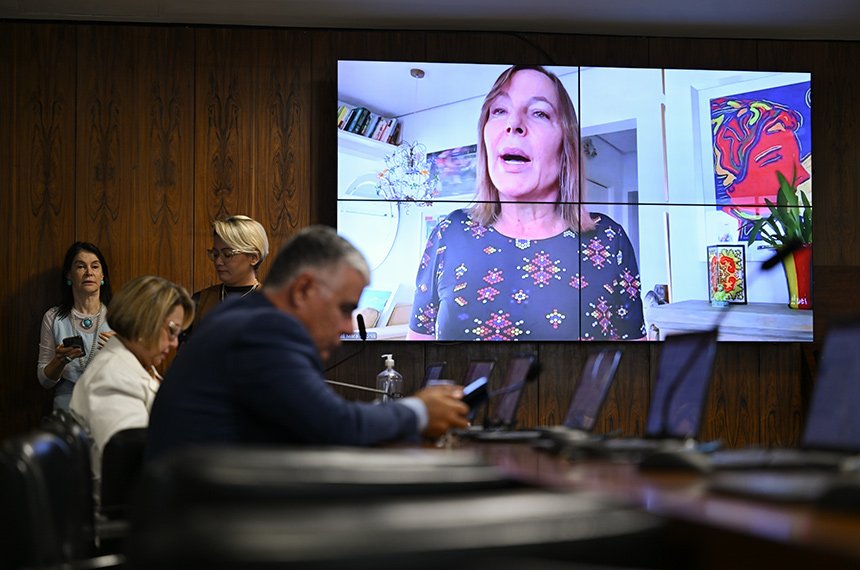 CDH aprova relatório sobre mães acusadas de sequestro internacional