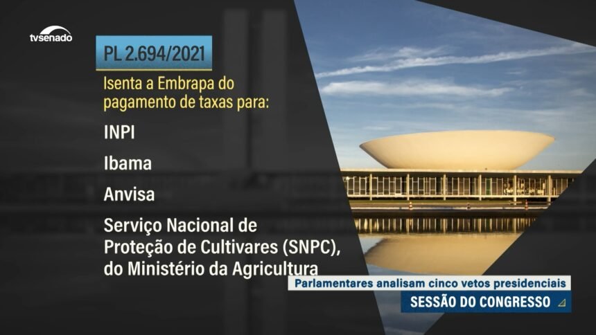 Exame toxicológico será obrigatório na primeira CNH — Senado Notícias