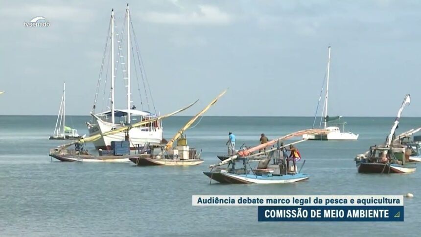 Na CMA, debatedores defendem leis separadas para pesca e aquicultura — Senado Notícias