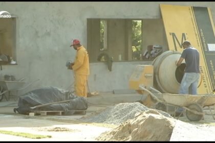 Senado vai analisar projeto que cria o Selo de Engenharia ou Arquitetura Solidária — Senado Notícias