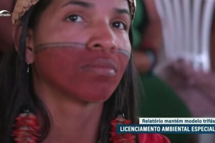 MP do licenciamento ambiental especial é aprovada em comissão mista — Senado Notícias