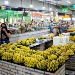 Projeto cria regras para proteção de feirantes tradicionais