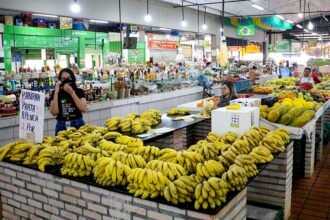 Projeto cria regras para proteção de feirantes tradicionais